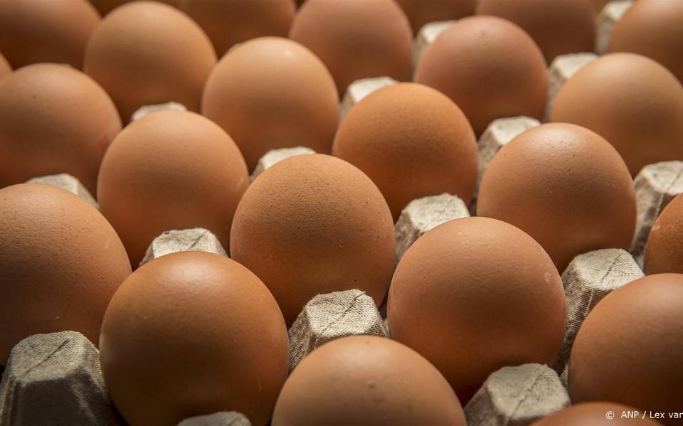 Eieren in jaar tijd ruim een kwart in prijs gestegen