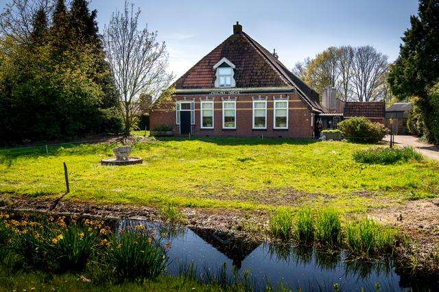 Wist schapenboer (57) uit Ureterp van illegale slachterij op zijn pleats? ‘Ik wie der net by’