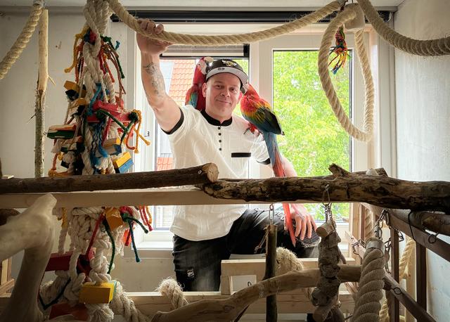 De twee ara’s van Mano geven al vliegend en zittend Leeuwarden Oud-Oost kleur. ‘Je wilt ze geven waa
