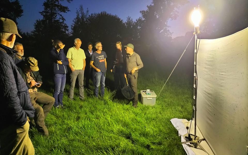 Met lamp en scherm werden de nachtelijke fladderaars gelokt.