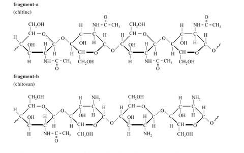 Figuur 1 uit het scheikunde-examen van maandag, waarop de structuurformules van chitine en chitosan te zien zijn.