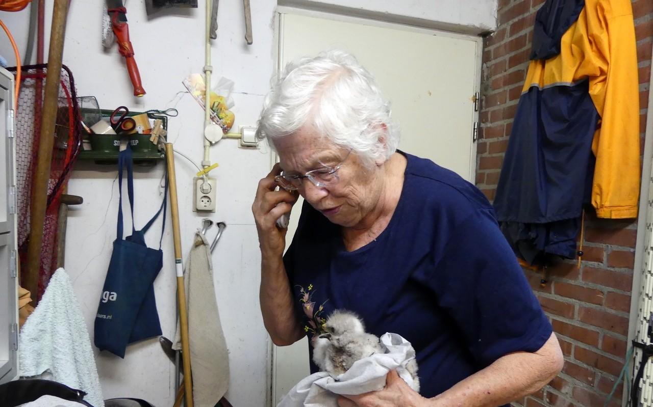 'Vogelvrouw' Frieda (81) uit Marsum zette zich haar hele leven in voor de dieren | in memoriam
