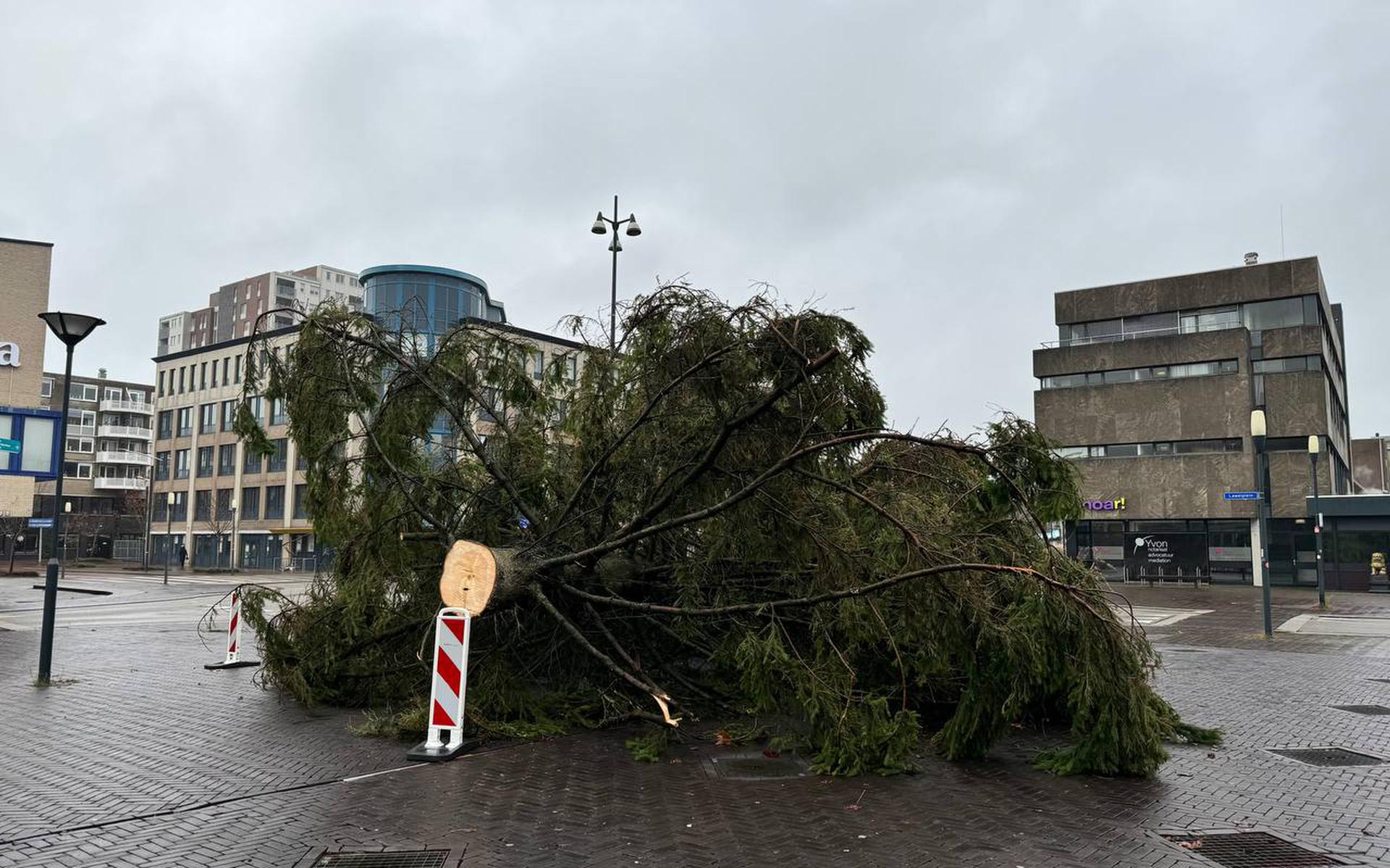 Kerstboom bij Lawei in Drachten gaat om door storm Leeuwarder Courant