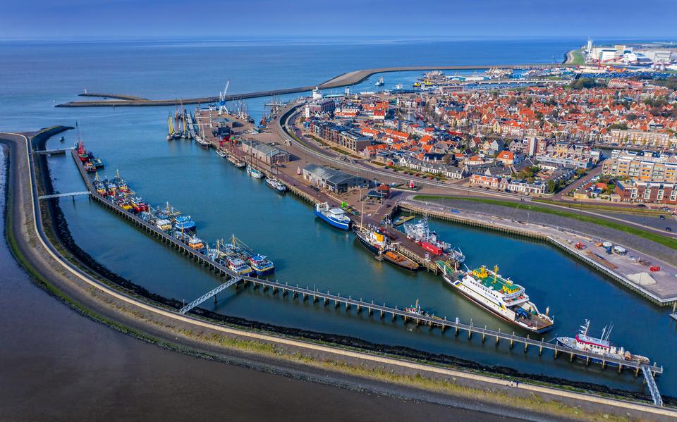 Harlingen. 