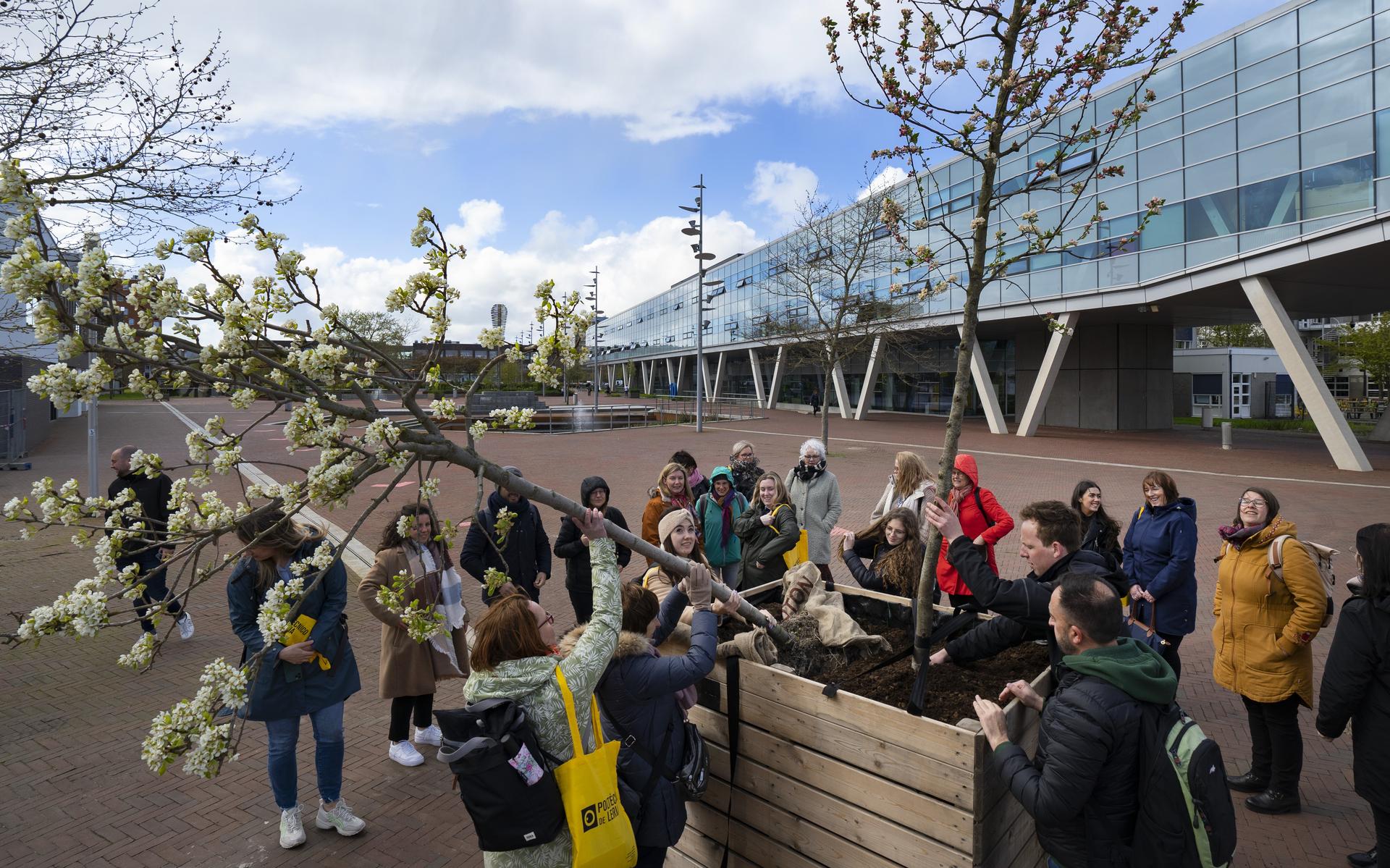 Studenten planten bomen op het kennisplein tussen Rengerslaan 8 en 10 in Leeuwarden.