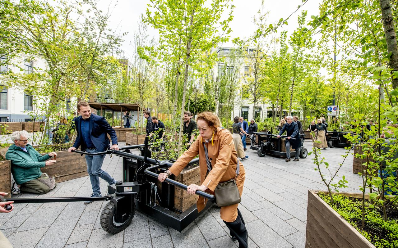 Cultuurwethouder Hein Kuiken en cultuurgedeputeerde Sietske Poepjes duwen de laatste bomen op hun plek. Cultuurwethouder Hein Kuiken en cultuurgedeputeerde Sietske Poepjes duwen de laatste bomen op hun plek.