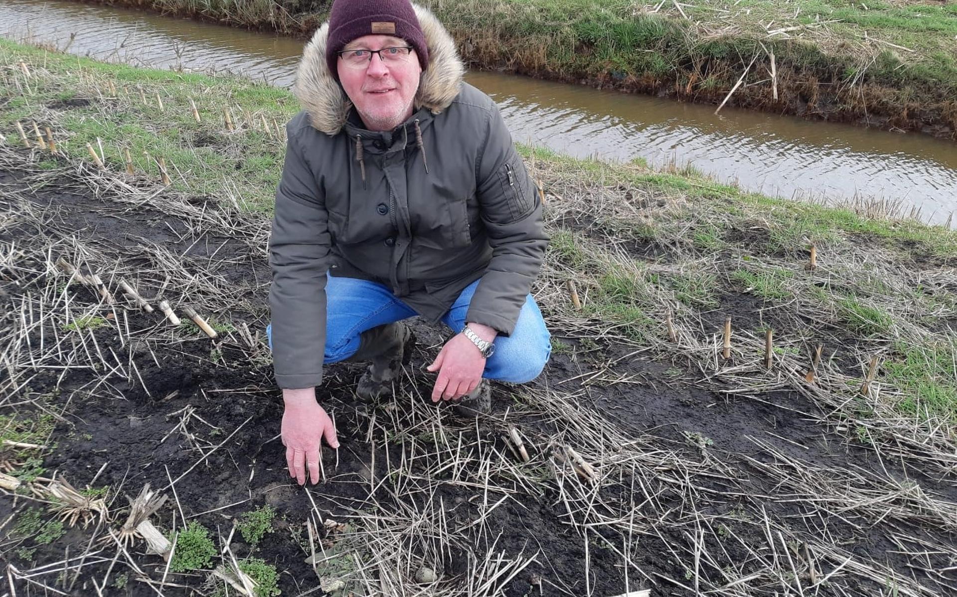 Wolvegaster vindt eerste ei Súdwest-Fryslân op bekend terrein - Leeuwarder Courant