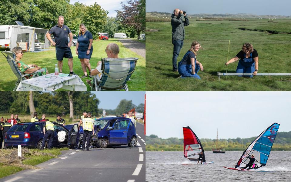Beeld: