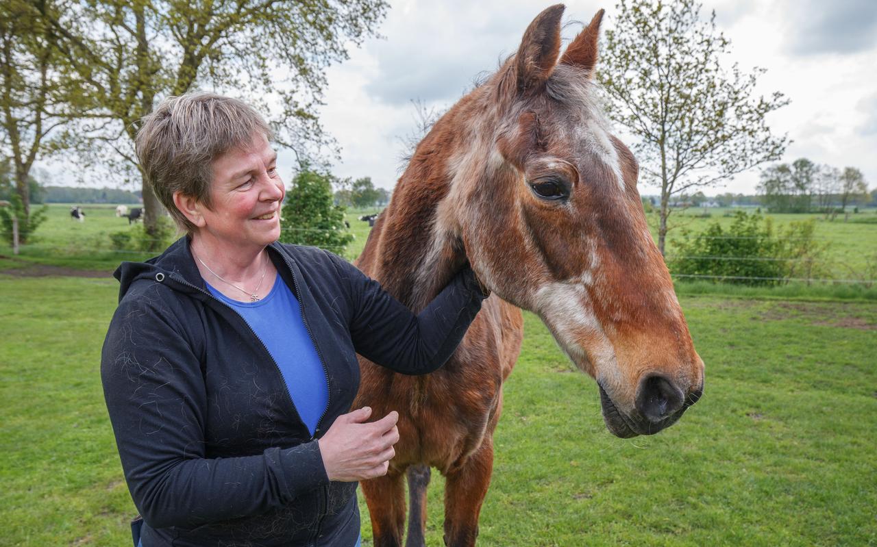 Zeres Boszorg is misschien wel Frieslands oudste paard. Zeres Boszorg is misschien wel Frieslands oudste paard.