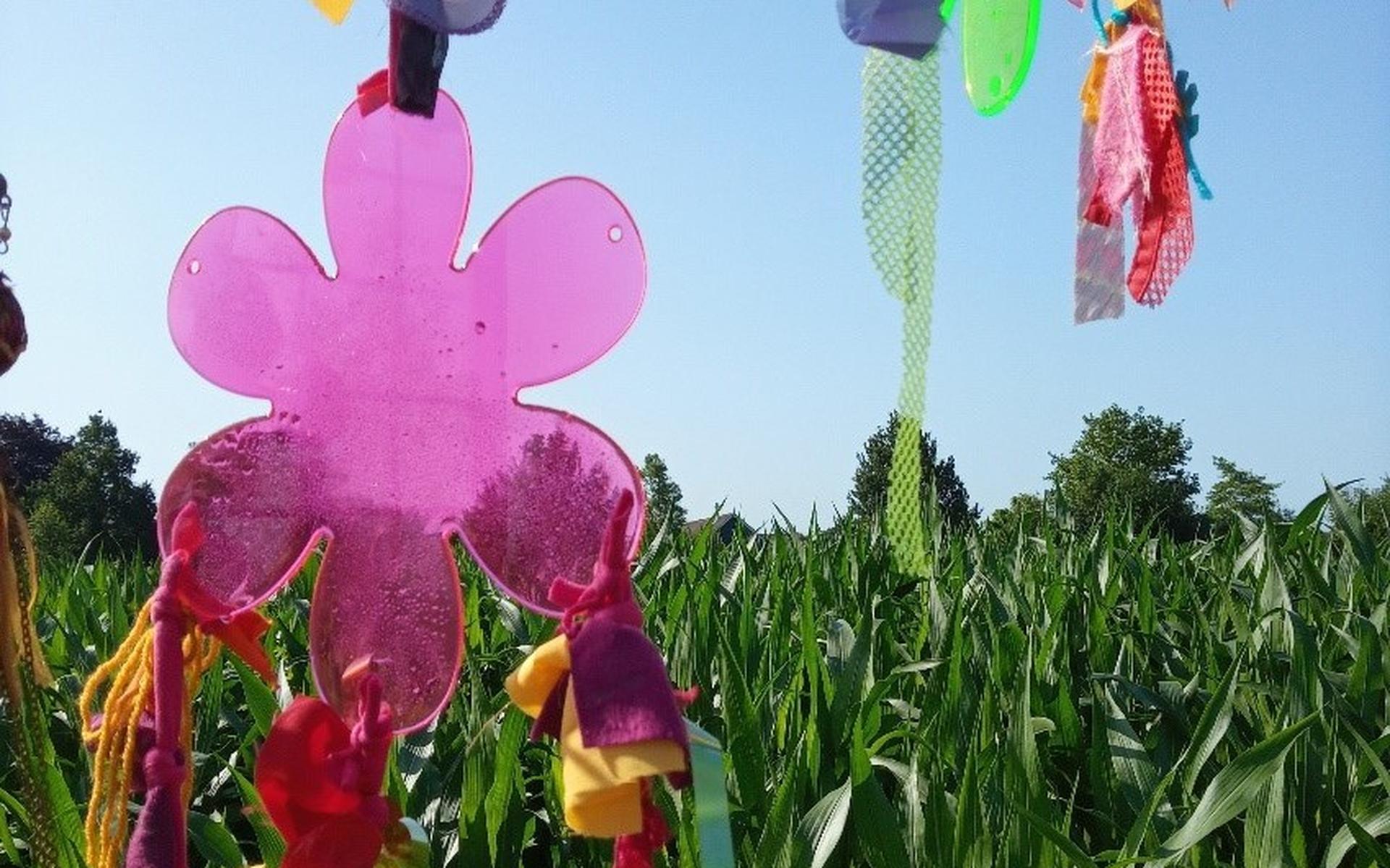 Maisdoolhof de Wilp weer open