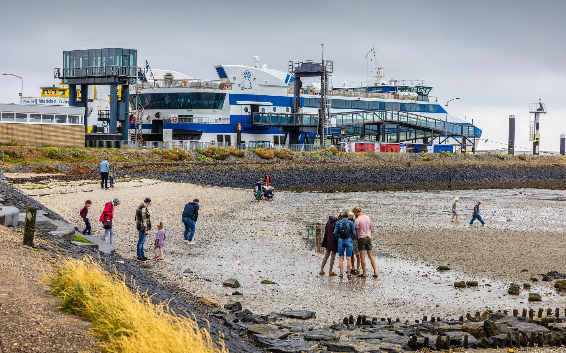 Toeristen vermaken zich op Vlieland op het wad, pal naast de aanlegplek van de veerboot. 