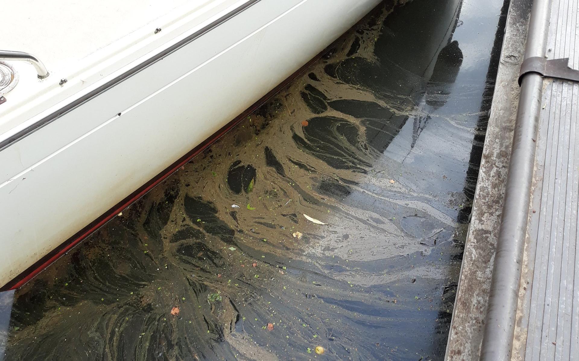 Olie in haven Rottevalle, vissen liggen dood in het water - Leeuwarder Courant