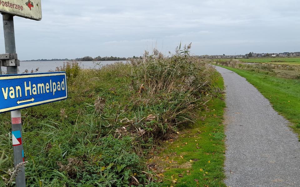 Tjeukemeer vanaf het Lodo van Hamelpad met blik op Echtenerbrug / Delfstrahuizen gezien vanuit Echten. Actief verzet tijdens WO II was in deze dorpen van grote betekenis. 