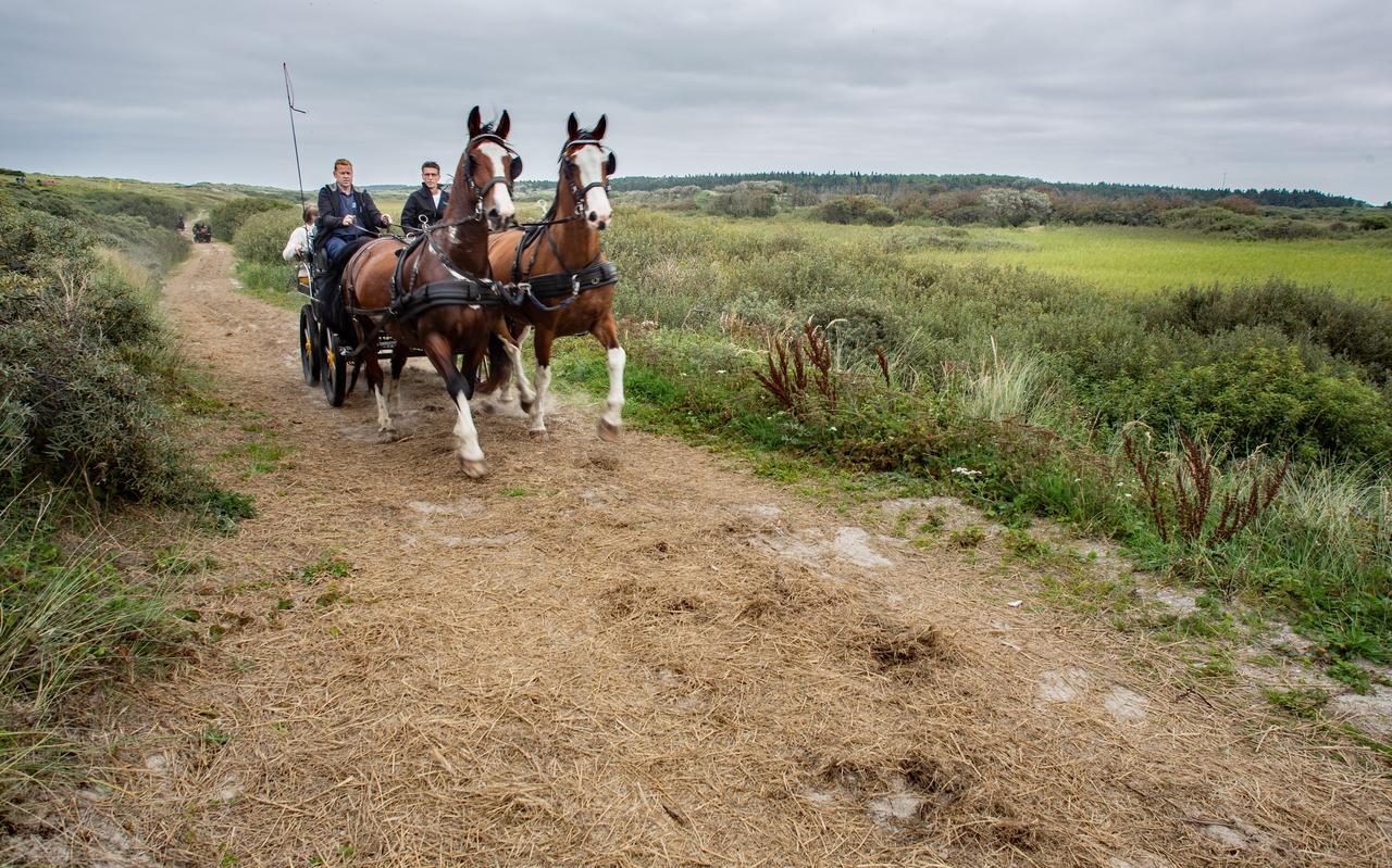De officiële opening van het Hagedoornveld werd besloten met een rondritje achter de paarden. FOTO JAN SPOELSTRA De officiële opening van het Hagedoornveld werd besloten met een rondritje achter de paarden. FOTO JAN SPOELSTRA