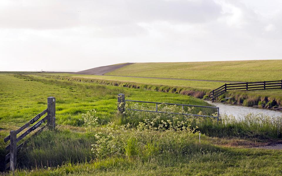 Friesland heeft sinds de jaren '70 een 11 kilometer lange groene dijk. Bij Blije gaat die over in een asfaltdijk. 