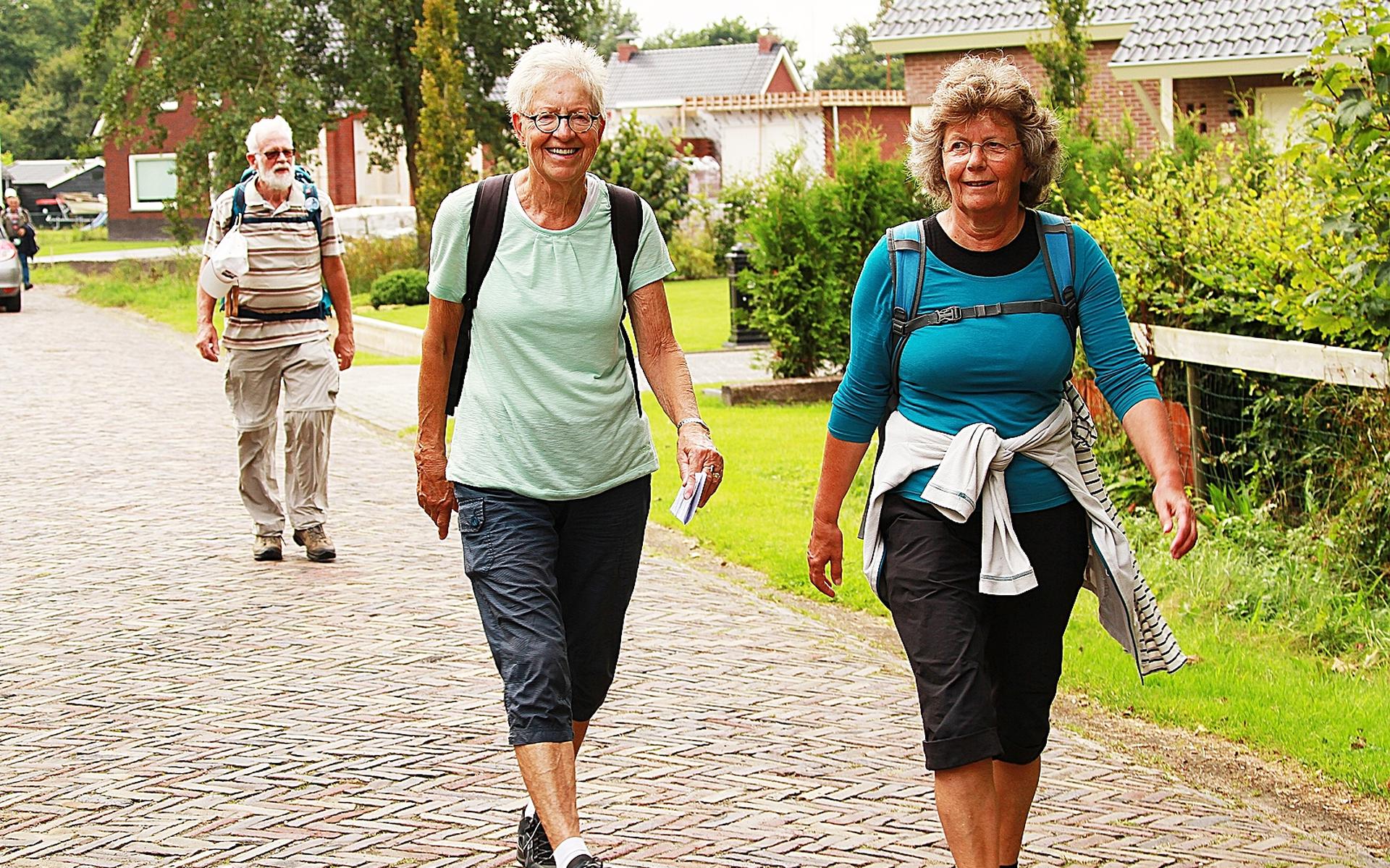 Wandelen met WIK in Twijzelerheide: 'wel verantwoord' - Leeuwarder Courant