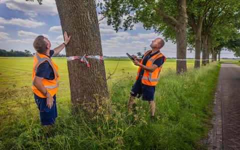 In Rotstergaast plaatsen Wolter Kouknegt (met ipad) en collega Minne-jan Smeding een lint en vullen gegevens per boom in.