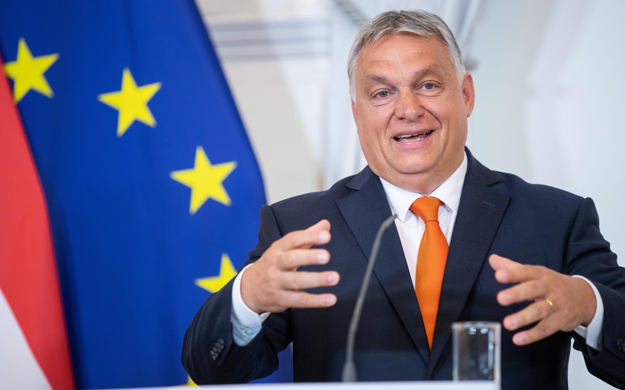 De Hongaarse premier Viktor Orbán haalt velen het bloed onder de nagels vandaan. FOTO EPA