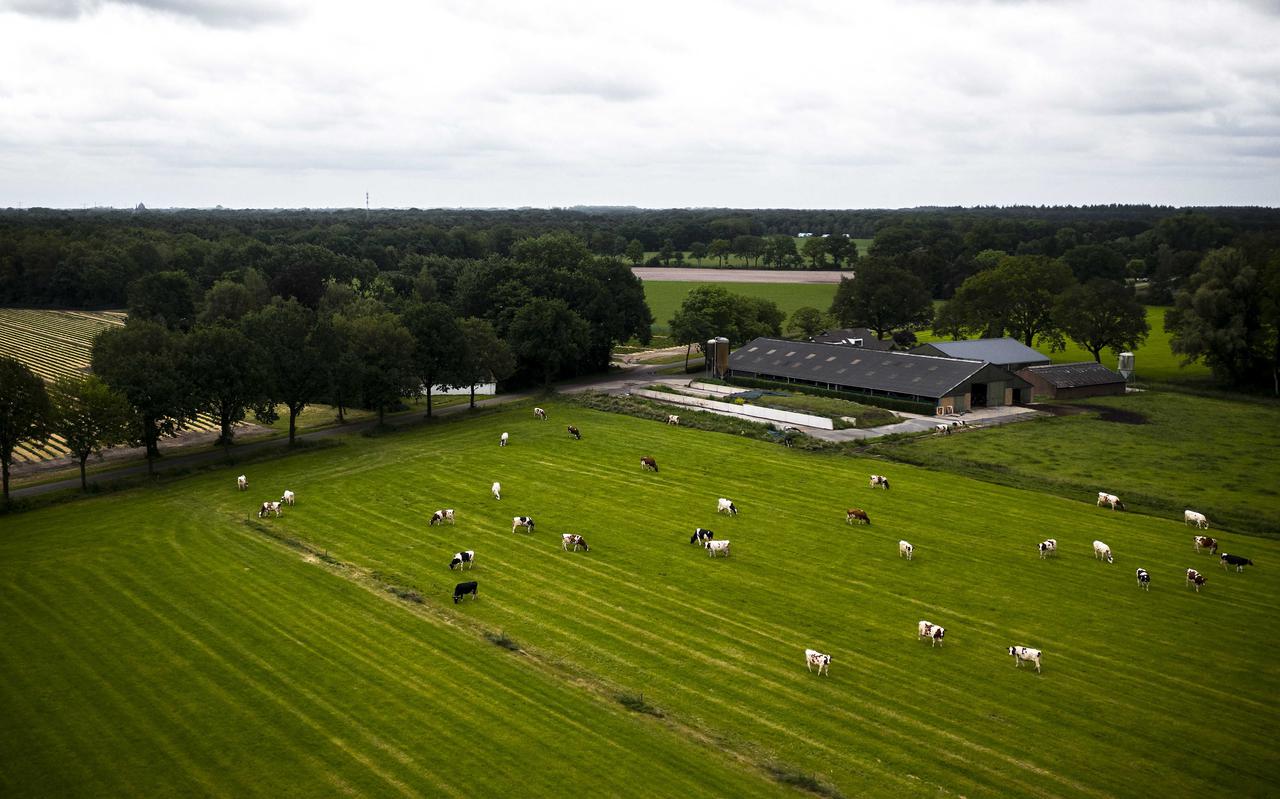Het aantal te koop staande veehouderijbedrijven is lager dan in voorgaande jaren.  