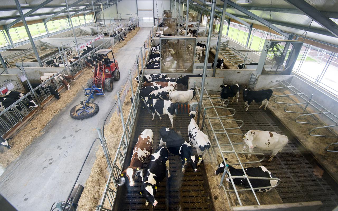 Het Dairy Breeding Center bij Wirdum van fokkerijorganisatie CRV.
