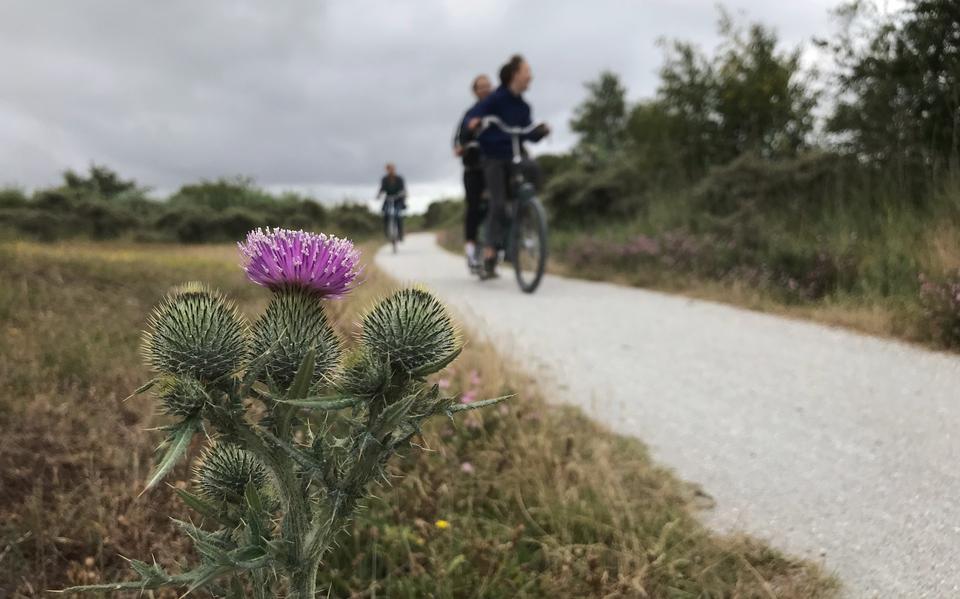Fietspad op Schiermonnikoog. 