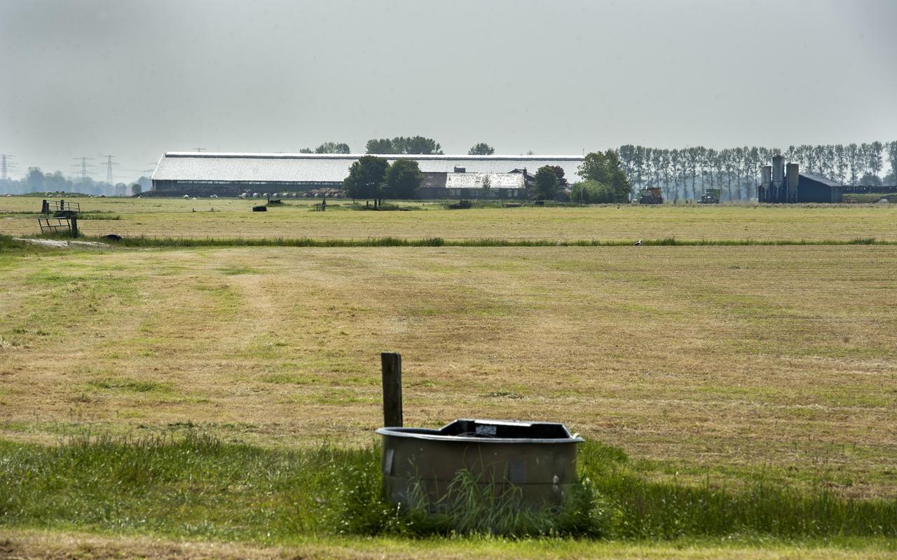 In het nieuwe landbouwbeleid moeten boeren meer doen voor minder geld. Dat geeft een prikkel tot een verdergaande schaalvergroting, ook in de veehouderij. In het nieuwe landbouwbeleid moeten boeren meer doen voor minder geld. Dat geeft een prikkel tot een verdergaande schaalvergroting, ook in de veehouderij.