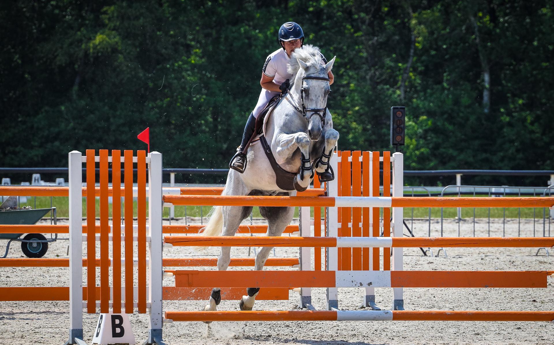 Age Flapper op dreef tijdens driedaagse Concours Hippique Sneek in Harich: 'Het rondje was vrij pitt