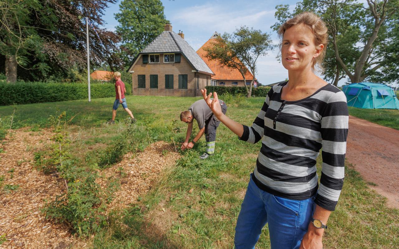 Landschapsadviseur Christel Snoep vertelt haar verhaal bij het bosje voor de boerderij. Uilke de Jong trekt er onkruid tussenuit, op de achtergrond hovenier Joeri van den Berg. Landschapsadviseur Christel Snoep vertelt haar verhaal bij het bosje voor de boerderij. Uilke de Jong trekt er onkruid tussenuit, op de achtergrond hovenier Joeri van den Berg.