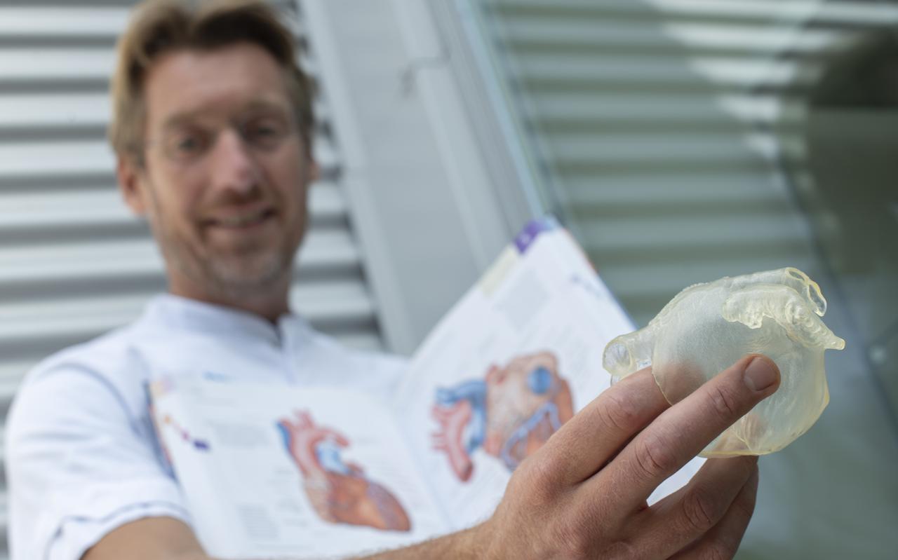 Cardioloog Richard Folkeringa toont het zakvormige aanhangsel op een 3d-print van een hart. Cardioloog Richard Folkeringa toont het zakvormige aanhangsel op een 3d-print van een hart.