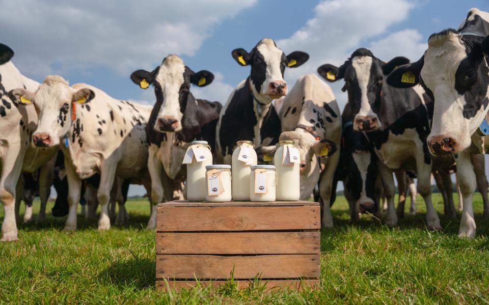 Een rondleiding op de boerderij.