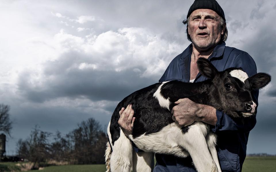 Het campagnebeeld voor de oorspronkelijke voorstellingsreeks van 'Wat soesto!': boer Freark Smink, ook de auteur, met kalf.