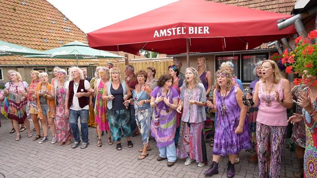Het koor Flowerpower uit Heerenveen, tijdens een optreden op Oerol, organiseert het eerste Sunshine-festival ooit in Luinjeberd. Omdat de tijdsgeest het weer nodig heeft.
