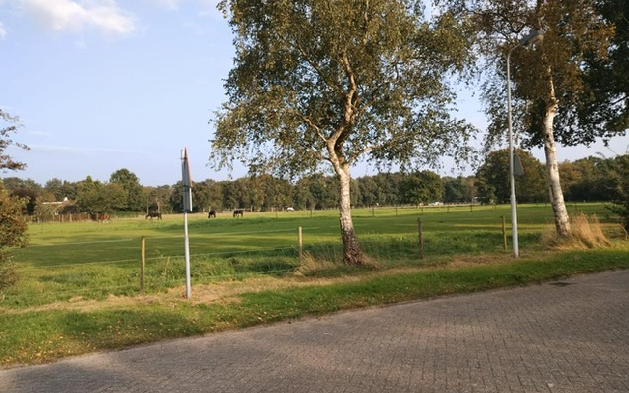 Kloosterlaan Noord in Burgum. Kloosterlaan Noord in Burgum.