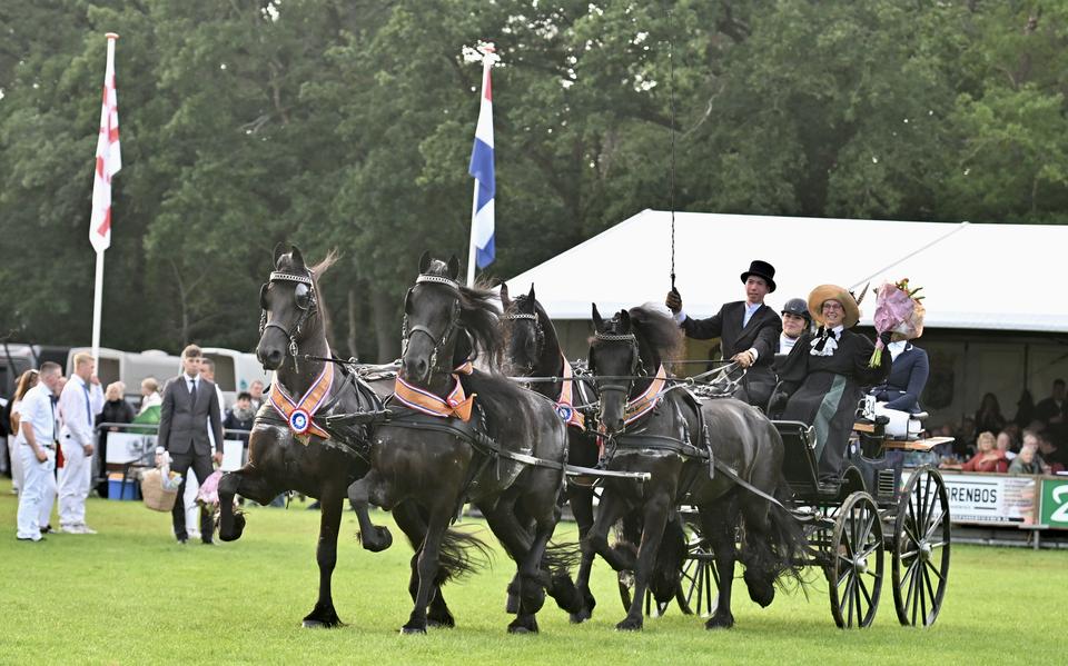Jelte Hoekstra en zijn paarden, die door meerspanrijder Anne Okkema uit Britswerd beschikbaar zijn gesteld. 