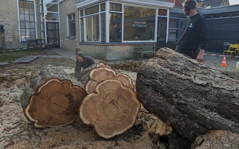 De zieke kastanjeboom bij Museum Joure is gekapt