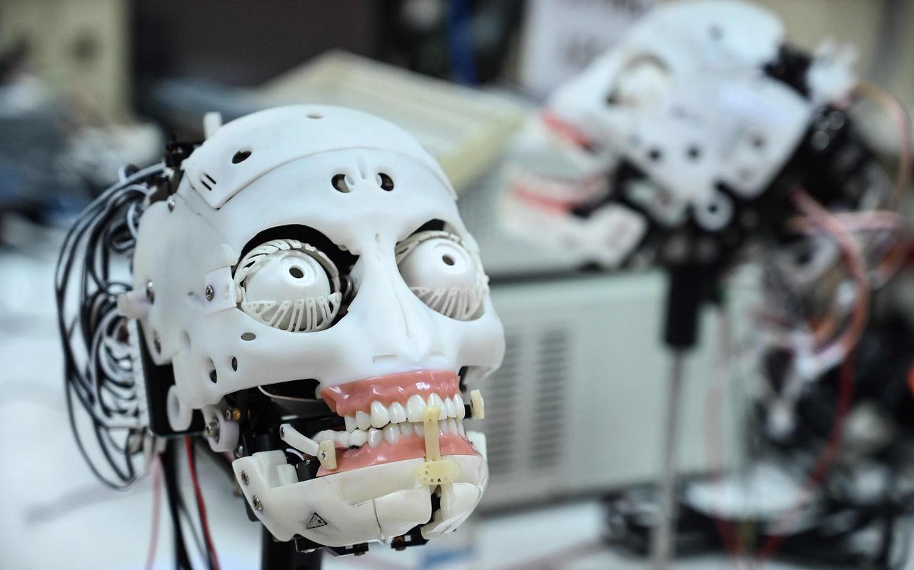 Dit is robot Sophia, een product van het bedrijf Hanson Robotics in Hong Kong. Hanson combineert robotica met kunstmatige intelligentie om menselijk uitziende robots te maken.