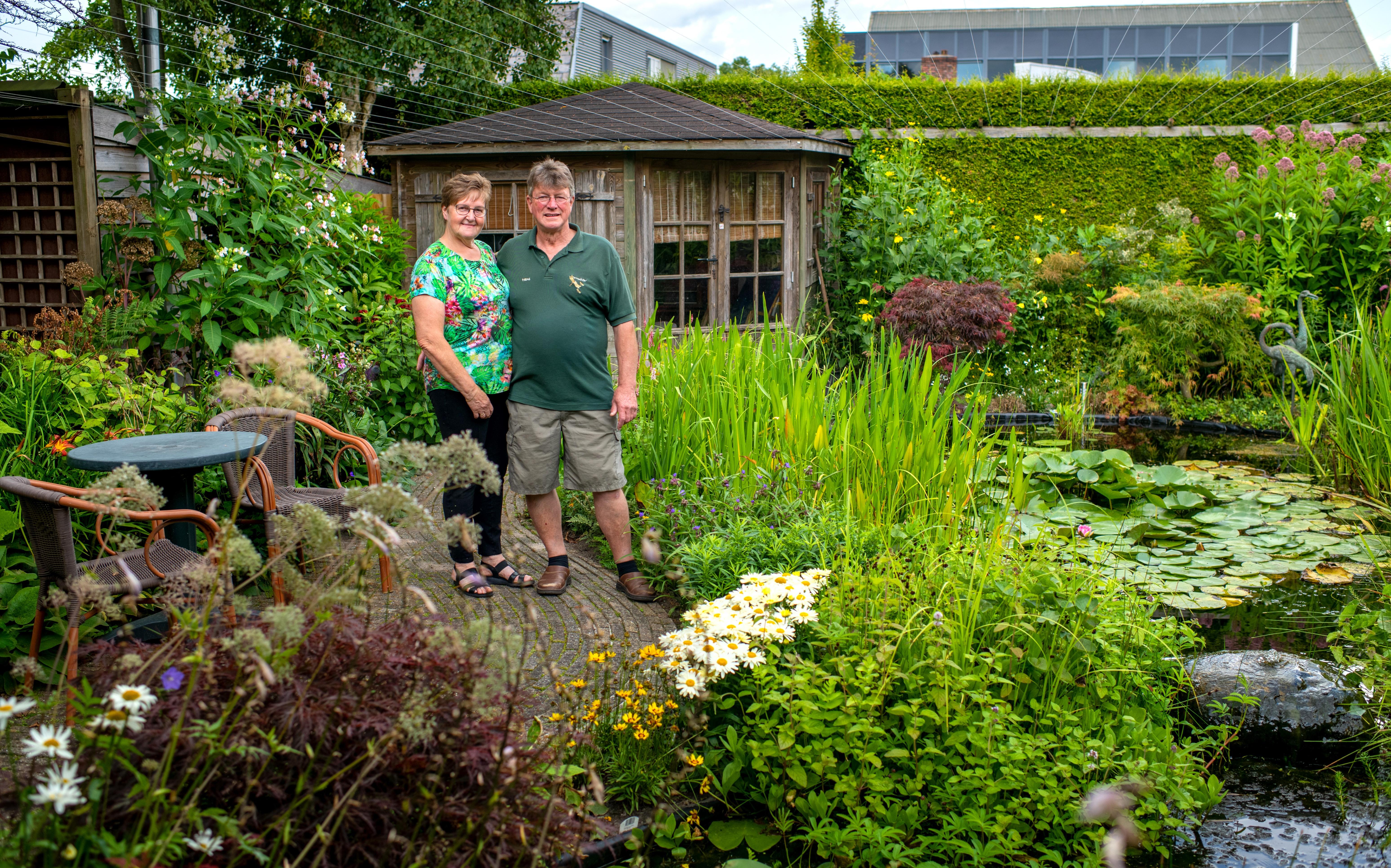 Een vijvertuin annex theeschenkerij in Blauforlaet: 'Je doet het voor de fun, want rijk word je er n