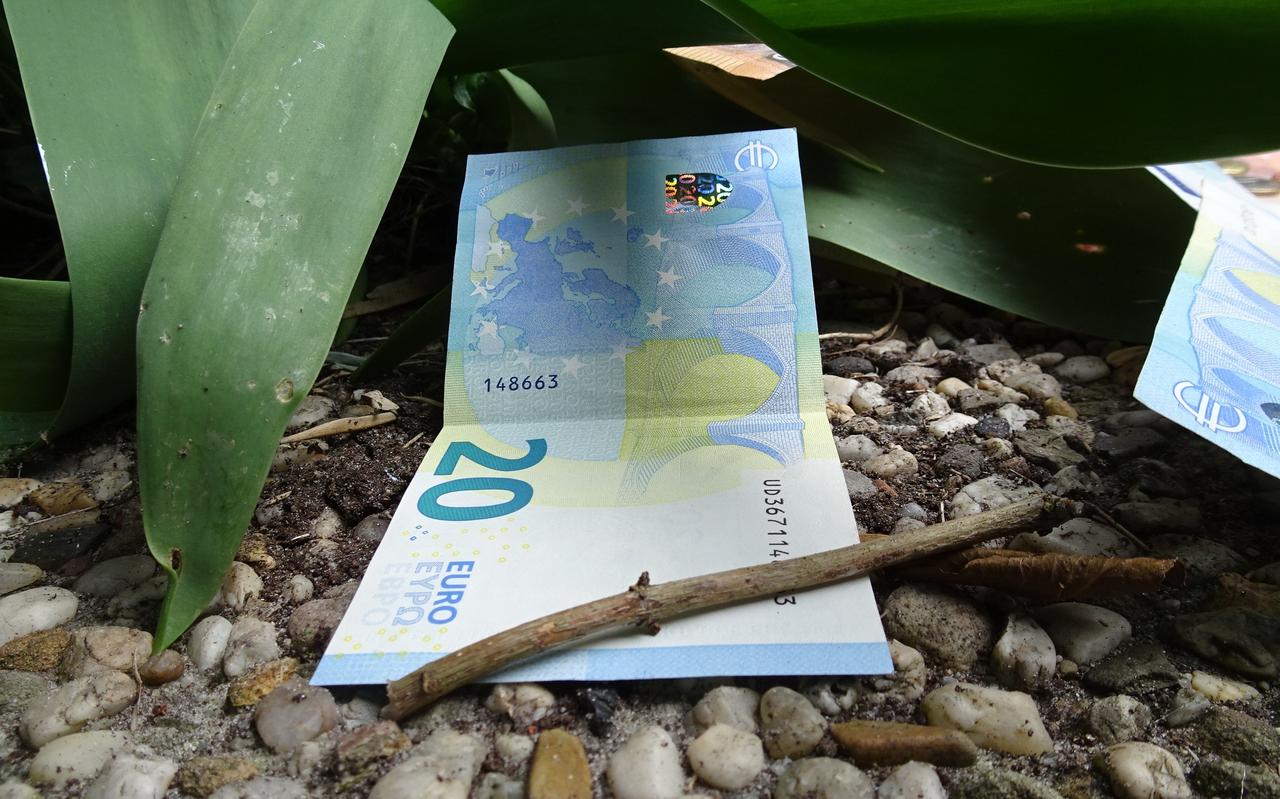 We gooien veel geld op straat. We gooien veel geld op straat.