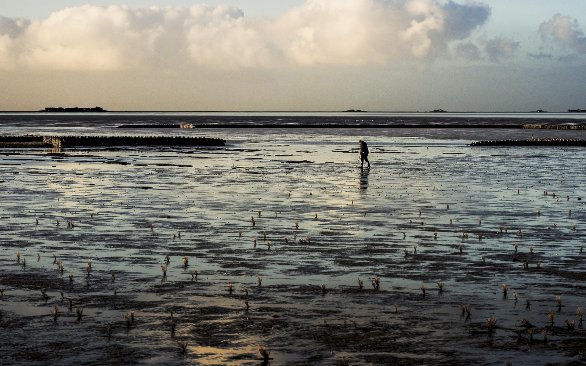 FOTO WADDENFONDS