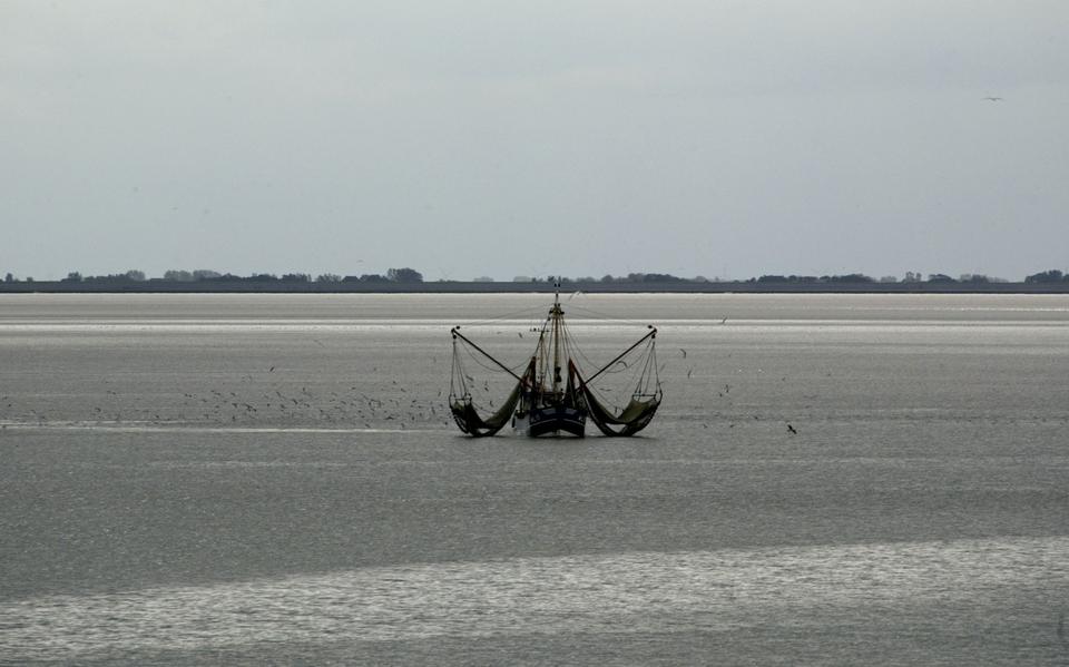 Garnalenkotter voor de kust op de Waddenzee. 