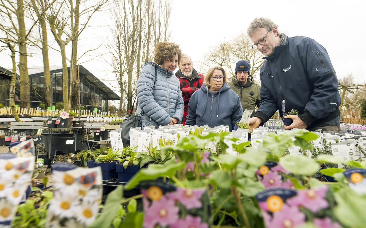 Klaas Piekstra (rechts) van tuincentrum De Florahoek in Hurdegaryp geeft advies aan zijn klanten.
