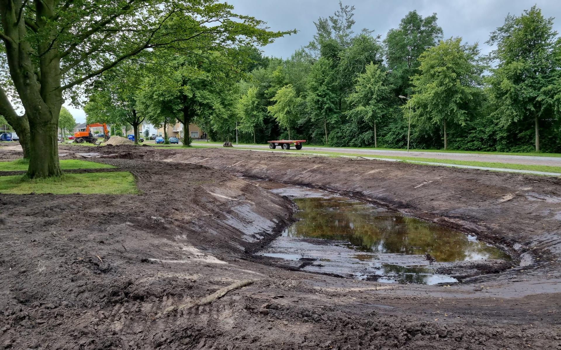 Wadi moet wateroverlast voorkomen in Surhuisterveen: ook bloemenweide
