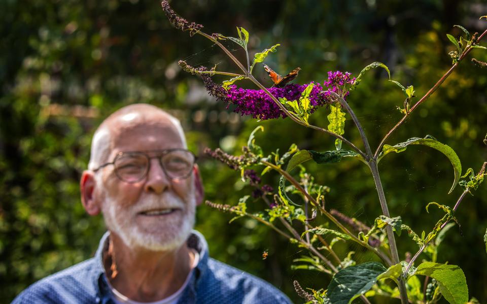 Adriaan Hol oog in oog met een dagpauwoog in zijn tuin in Oudemirdum.