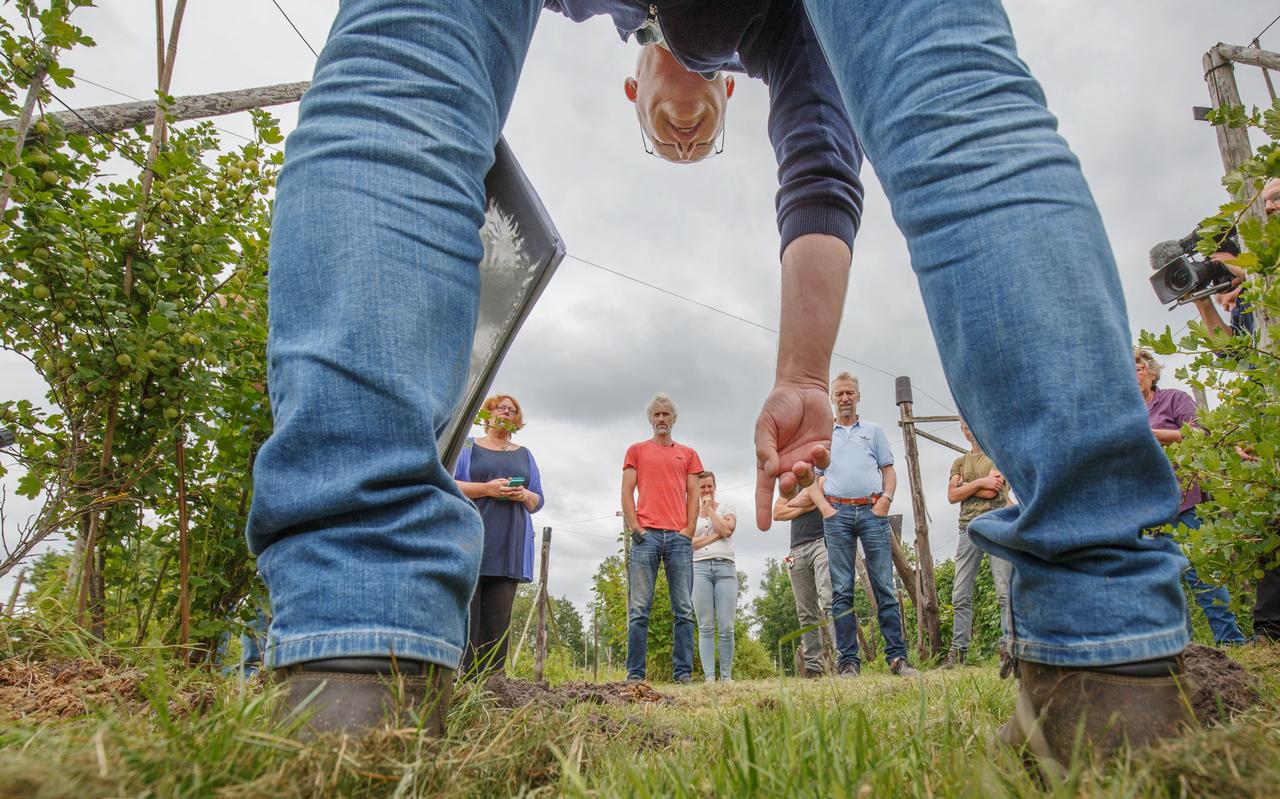 Louw Hoekstra geeft uitleg over de bodem op Fruithof de Struikrover in Oldeholtpade. Louw Hoekstra geeft uitleg over de bodem op Fruithof de Struikrover in Oldeholtpade.