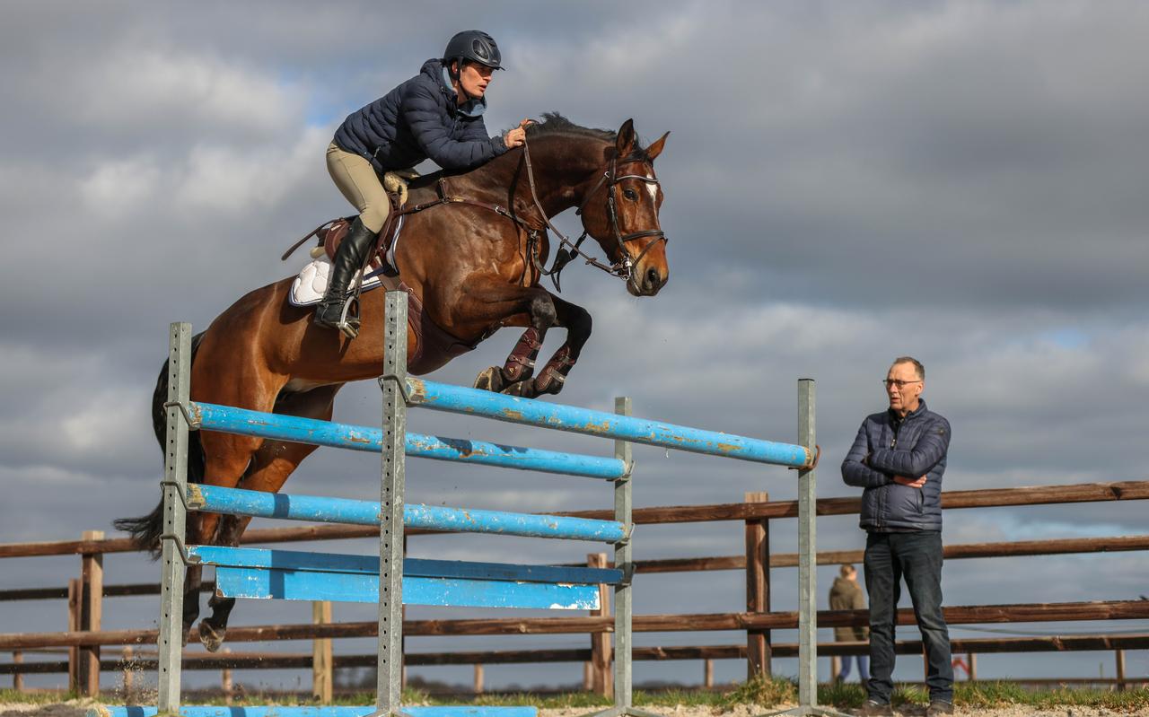 Age Flapper aan het trainen met Kyra, onder toeziend oog van vader Fokke. Age Flapper aan het trainen met Kyra, onder toeziend oog van vader Fokke.