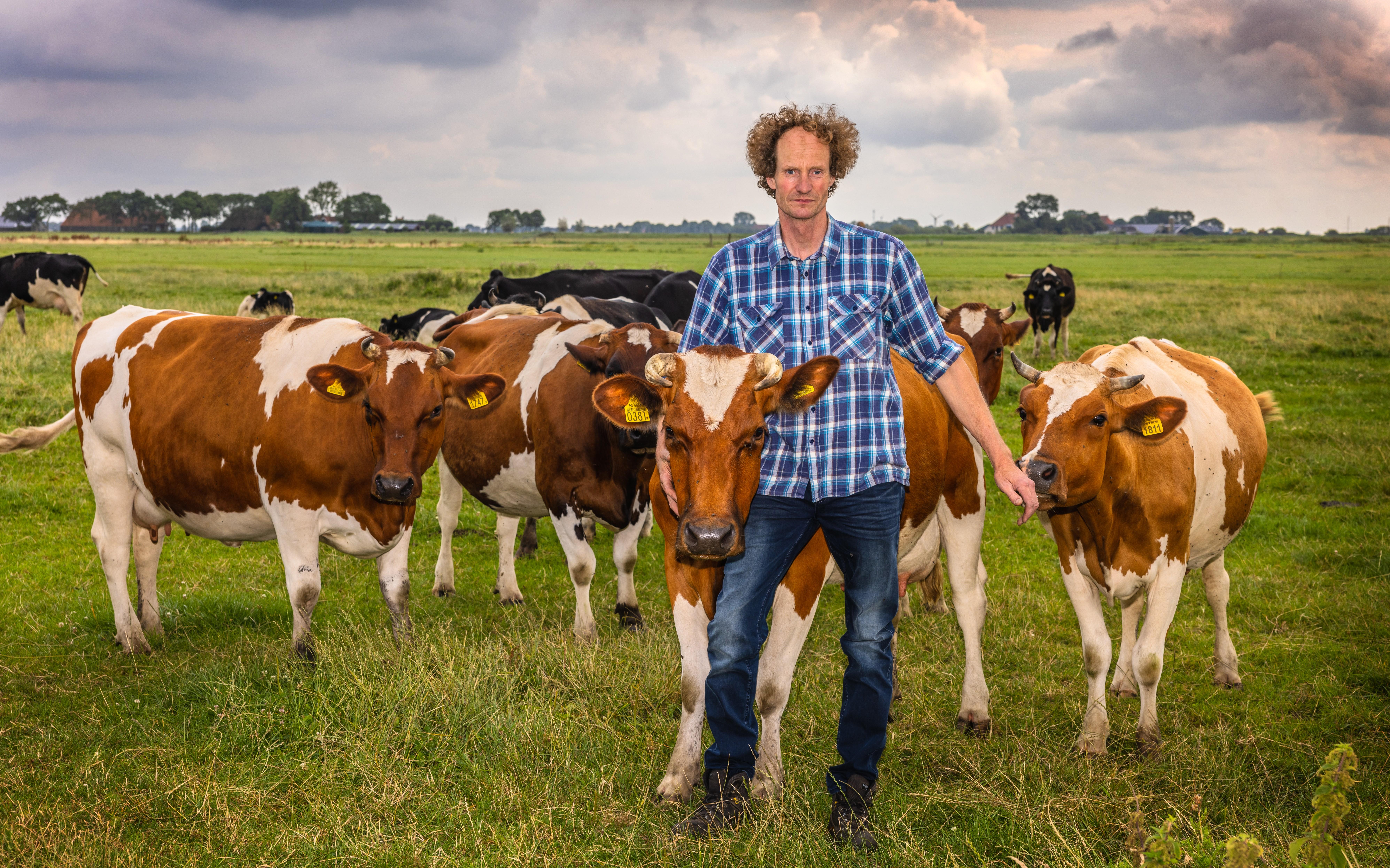 Het schiereiland Sandfirden blijft een weidevogelparadijs met de komst van boer Durk. 'Ik haw hjir 2