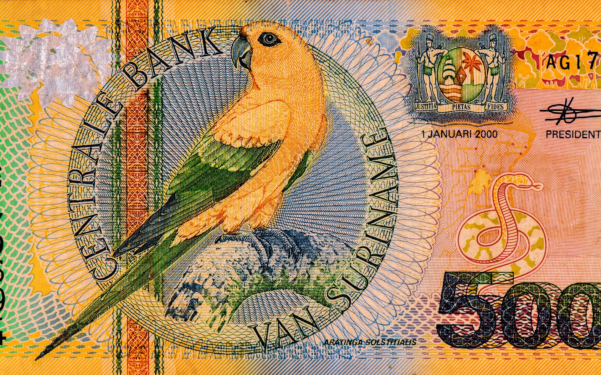 Suriname staat voor een gigantische opgave om er economisch weer boven op te komen en krijgt daarbij