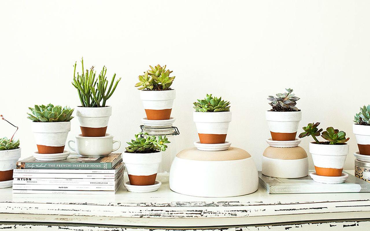 Terracotta pot half geverfd Terracotta pot half geverfd