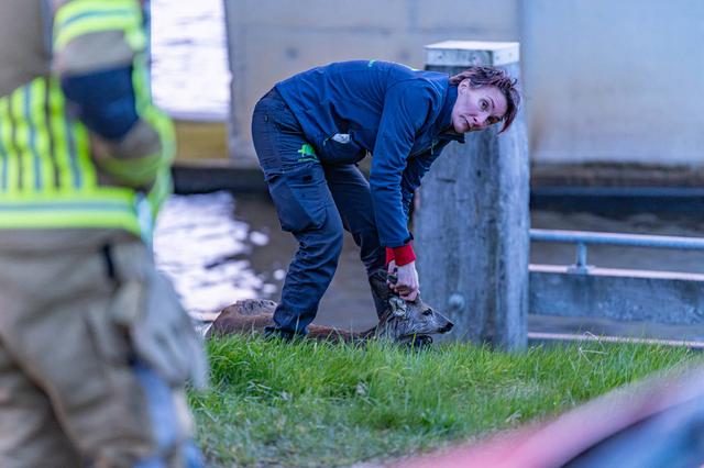 LIVE | Ree gered uit Van Starkenborhgkanaal bij Stroobos & forse schade na botsing op N359