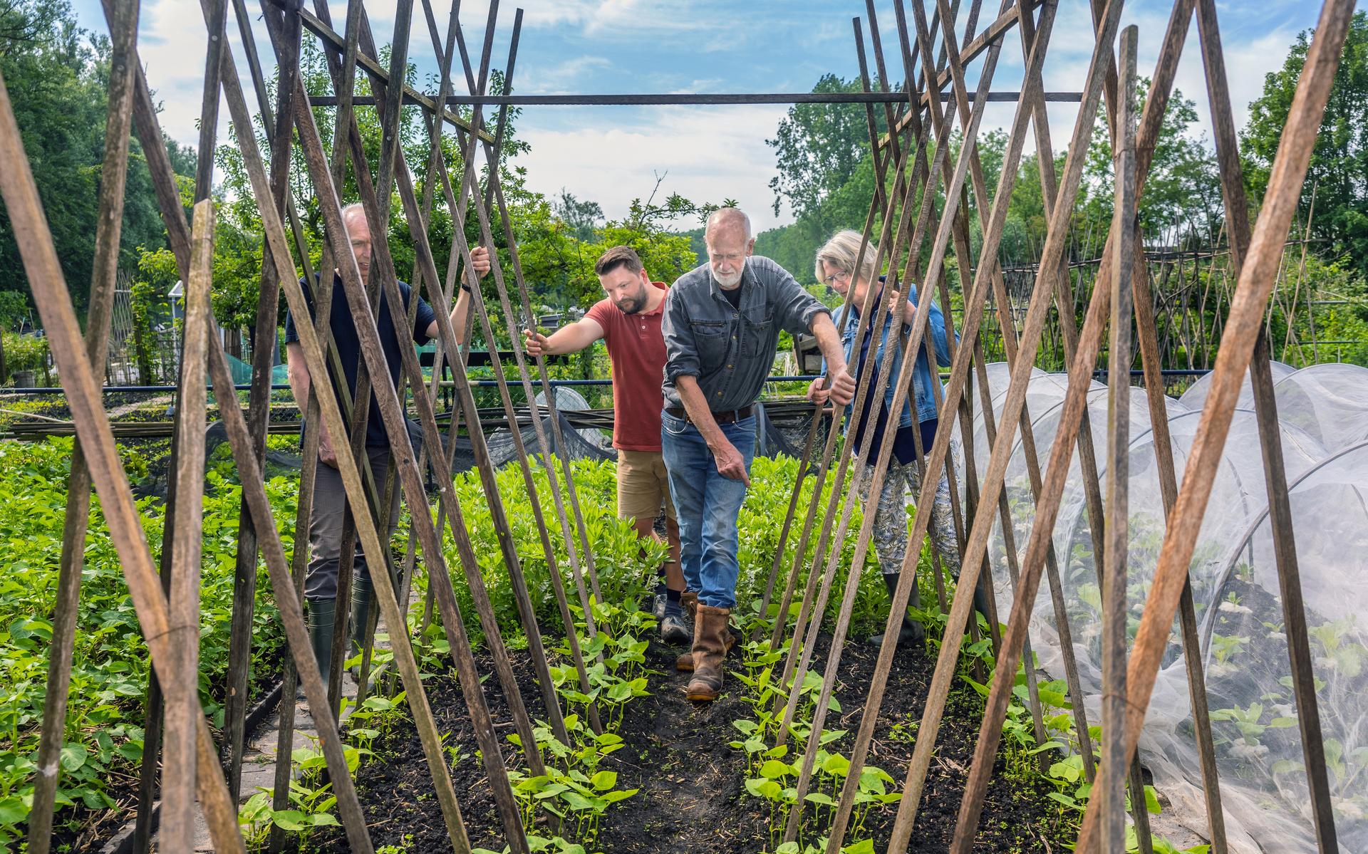 Slakken drijven tuinders in IJlst tot wanhoop: 'Hjir is gjin begjinnen oan'